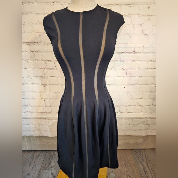 Torn by Ronny Kobo Delilah Mesh Dress in BlackXSNWT